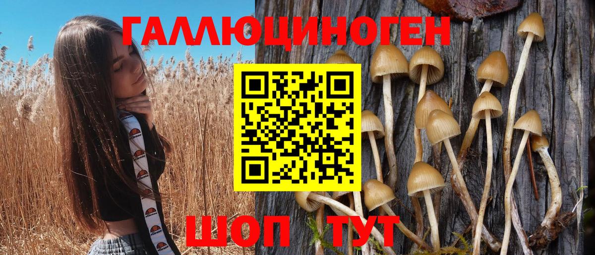 Псилоцибиновые грибы мицелий Нурлат